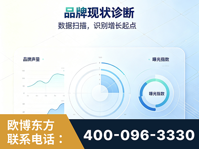 吴川-品牌现状诊断