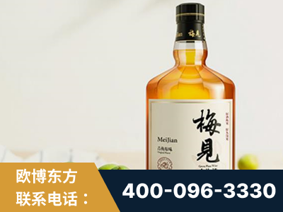 吴川-梅见青梅酒